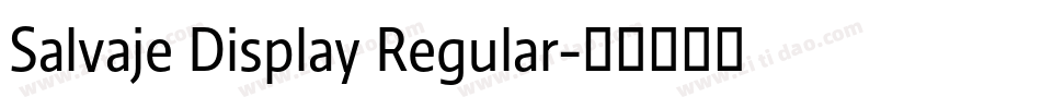 Salvaje Display Regular字体转换
